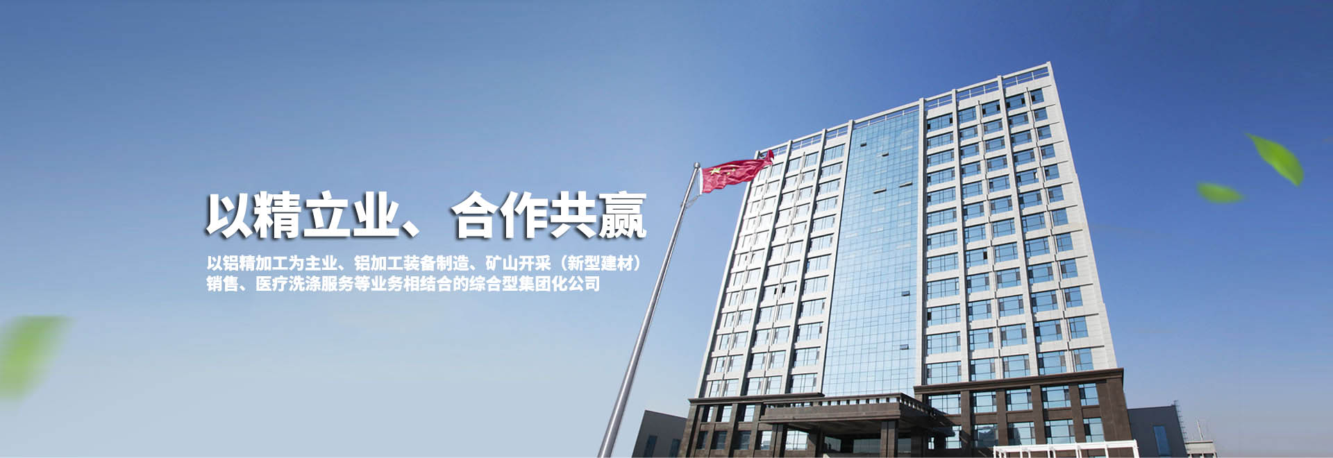 YBX3、YBX4、YBX5系列隔爆型三相異步電動(dòng)機(jī)